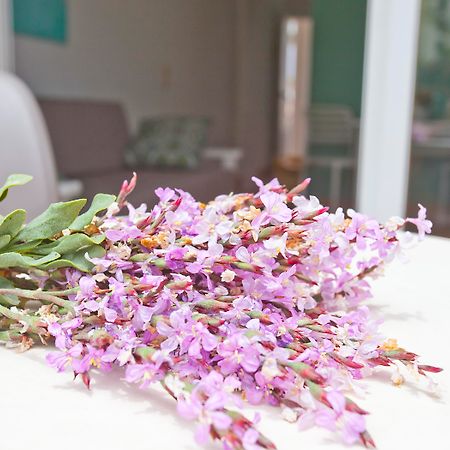 Club Sa Coma Apartment ซาโกมา ภายนอก รูปภาพ